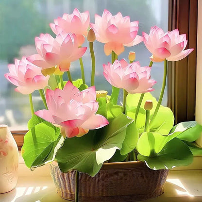 🌸【7 days germination】Last Day Sale - 50% OFF💐The Sacred Bonsai Bowl Lotus Flower