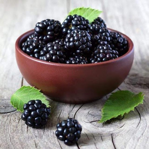 🔥Sweet Giant Blackberry Seeds