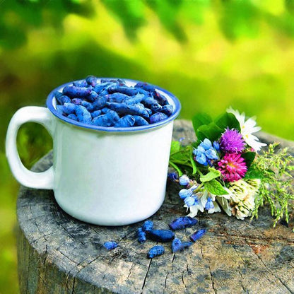 Egrow 50Pcs,100Pcs/Pack Lonicera Caerulea Fruit Seeds Home Garden Plants Honeyberry Blueberry Seeds