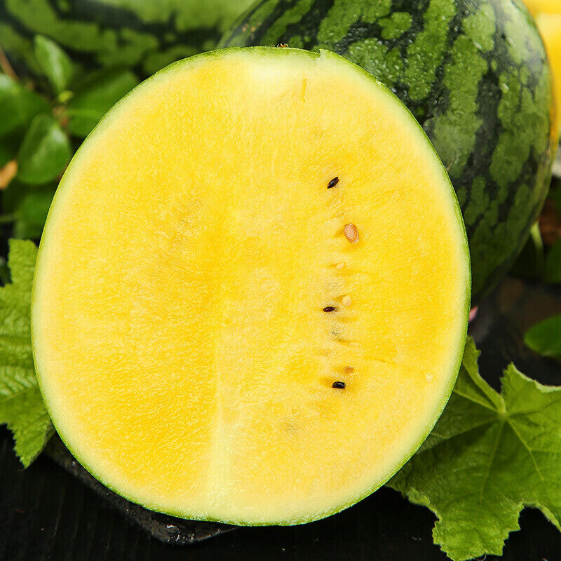 Watermelon Seeds - Yellow Petite