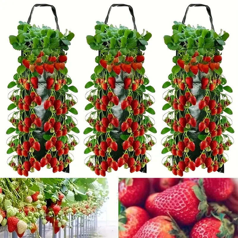 Hanging Strawberry Flowerpot Bag