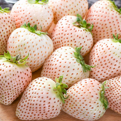 🍓Cream Giant Strawberry Seeds -- Various shapes & Natural juices🥤-Clearance sale