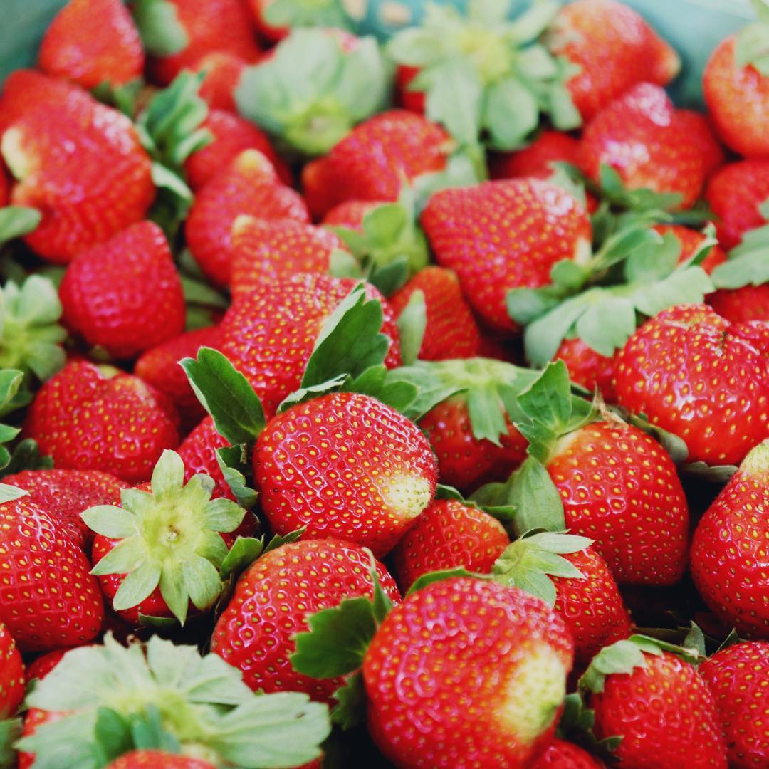 🍓Cream Giant Strawberry Seeds -- Various shapes & Natural juices🥤-Clearance sale