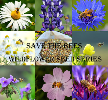 🐝Save Bees Wildflower Seed Series - Pure Non-GMO Flower Seeds