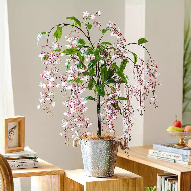 🌼WEEPING JASMINE SEEDS - WHITE JADE BUTTERFLY