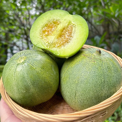 🍈Emerald No. 2 Sweet Melon