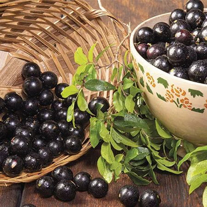 🍇Garbo fruit-Tree Grape Seeds