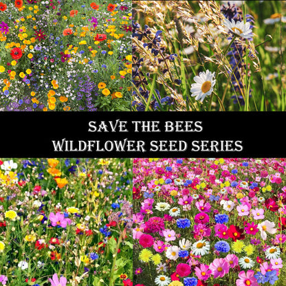 🐝Save Bees Wildflower Seed Series - Pure Non-GMO Flower Seeds