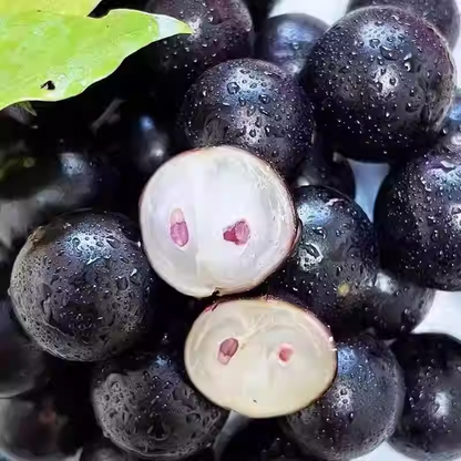 🍇Garbo fruit-Tree Grape Seeds