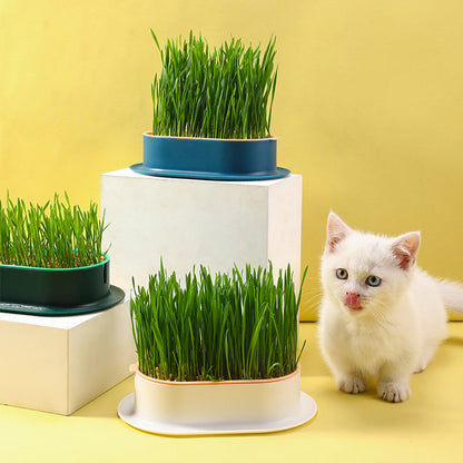 🔥Limited Time Special Offer 😻Soilless Cat Grass Seeds+Hydroponic Box