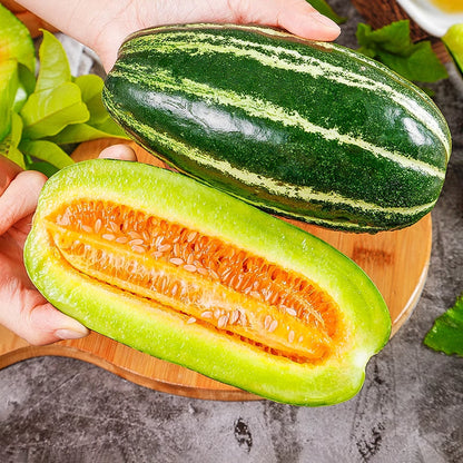 Honey Rock Melon Seeds Muskmelon Seeds