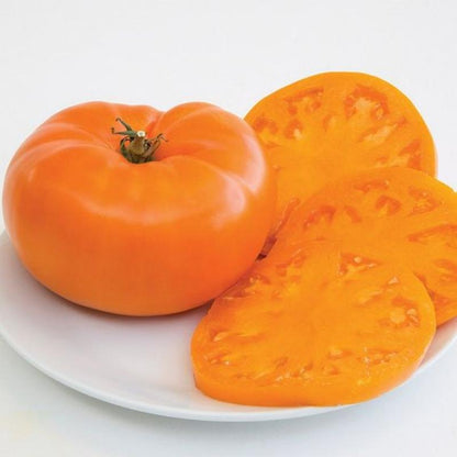 🍅Amana Orange Heirloom Tomato Seeds - Large Tomato