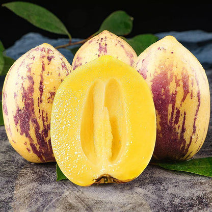 Last Day Sale - 60% OFF🍈 Solanum Muricatum Melon Pear（Ginseng fruit）Seeds(98% Germination)⚡