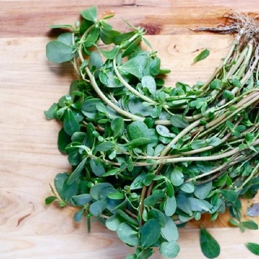 😍Last Day Sale - 60% OFF✨Purslane Seeds - Green