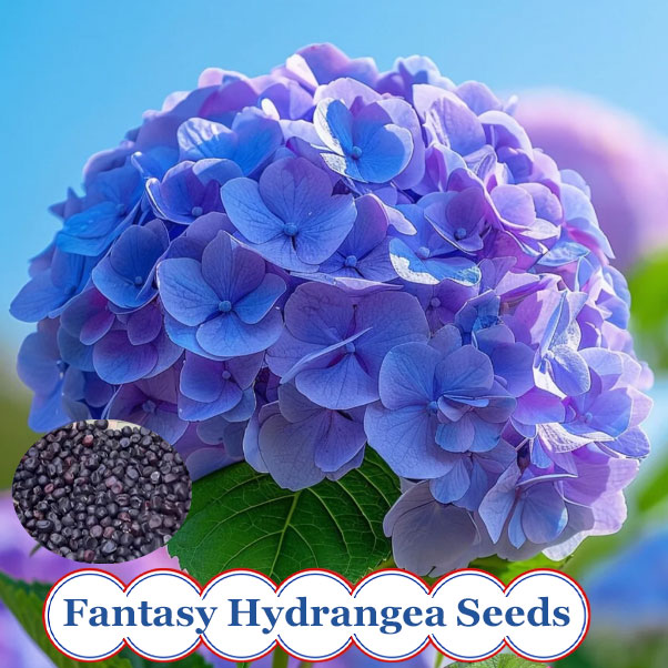 🌼Perennial Hydrangea Seeds