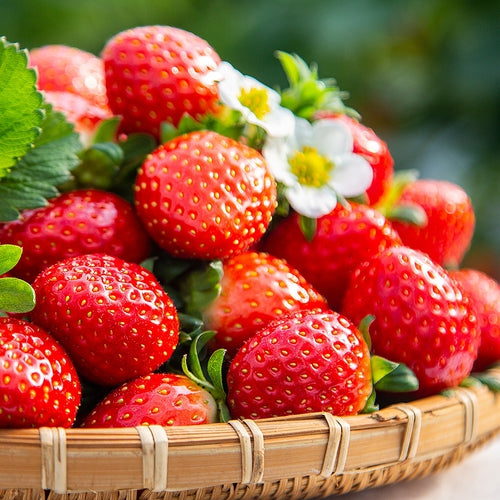 🍓Cream Strawberry Seeds🎉