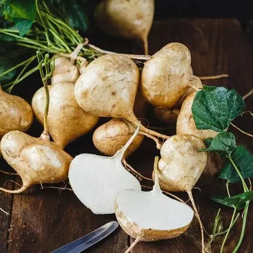 Jicama Pachyrhizus Erosus Seeds