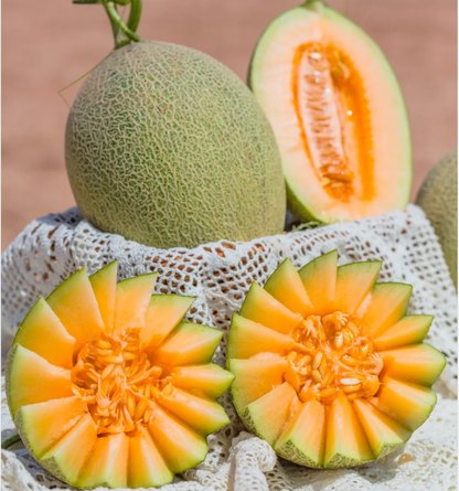 Reticulated Cantaloupe Seeds