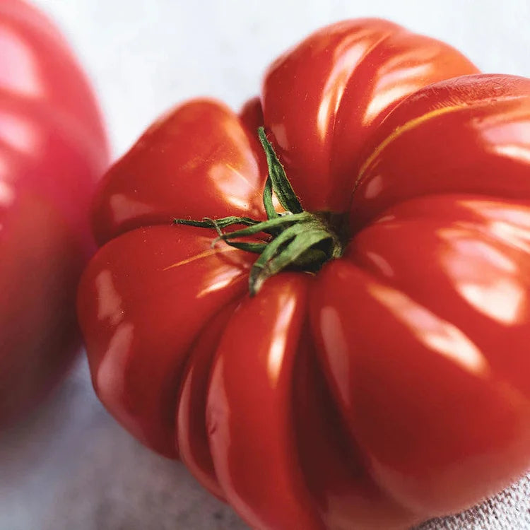 🍅Giant Beef Tomato Seeds-Up-To-2Kg✨