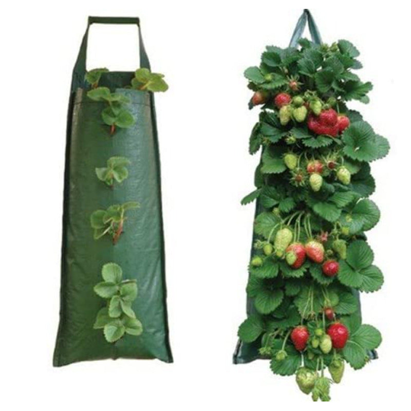 Hanging Strawberry Flowerpot Bag