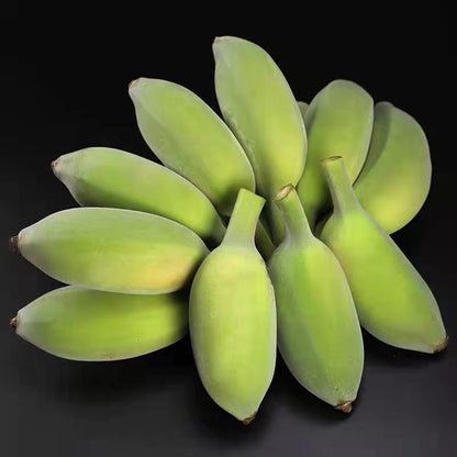 🔥Last Day Sale - 60% OFF 🍌Rare Fruit Seeds for Planting 100 Banana Tree Seeds for Planting