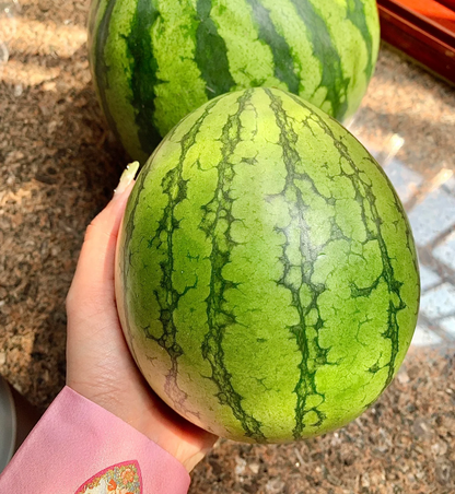 🔥Ruby Watermelon Seeds