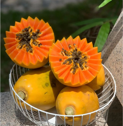 Golden Creamy Papaya Seeds