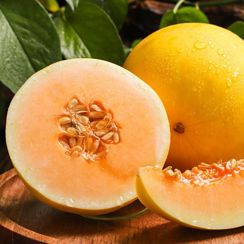 Golden Honey Melon Seeds