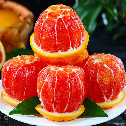 🍊Red Flesh Blood Orange Seeds(Can be potted)