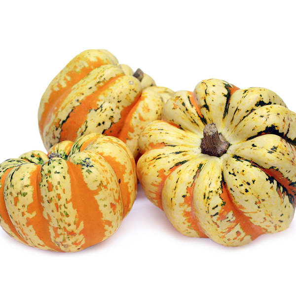 Carnival Squash Seeds