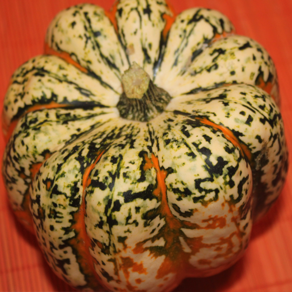 Carnival Squash Seeds