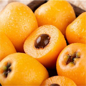 Five-star Loquat Seeds