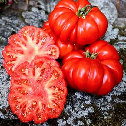 Multicolor Tomato Seeds-No Gmo