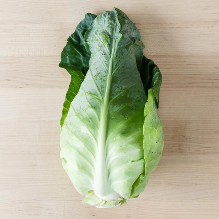 Cabbage Caraflex F1 Organic