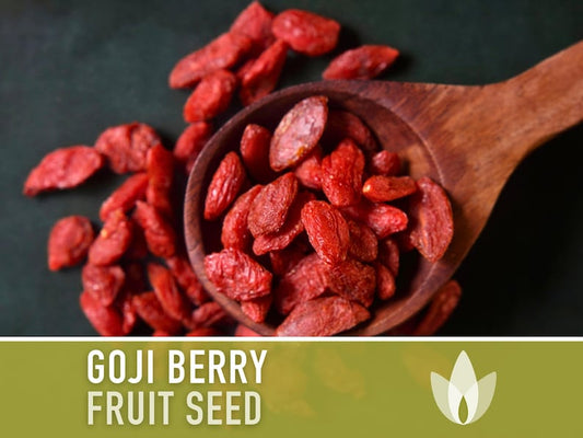 😍Last day sale - 60% off✨Goji seeds - heirloom seeds, medicinal plants, non-GMO