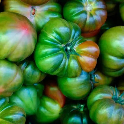 🔥Last Day Sale🍅Giant Beef Tomato Seeds