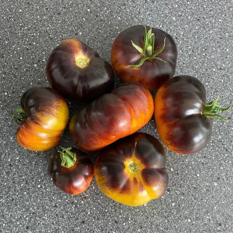 Lucid Gem Tomato Seeds, Beefsteak Tomatoes, Heirloom Tomatoes, Organic Seeds