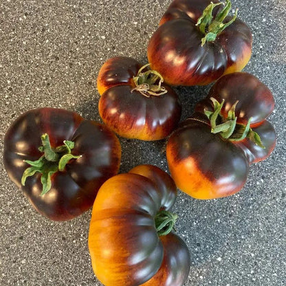 Lucid Gem Tomato Seeds, Beefsteak Tomatoes, Heirloom Tomatoes, Organic Seeds