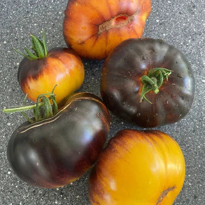 Lucid Gem Tomato Seeds, Beefsteak Tomatoes, Heirloom Tomatoes, Organic Seeds