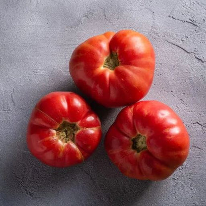 Lucid Gem Tomato Seeds, Beefsteak Tomatoes, Heirloom Tomatoes, Organic Seeds