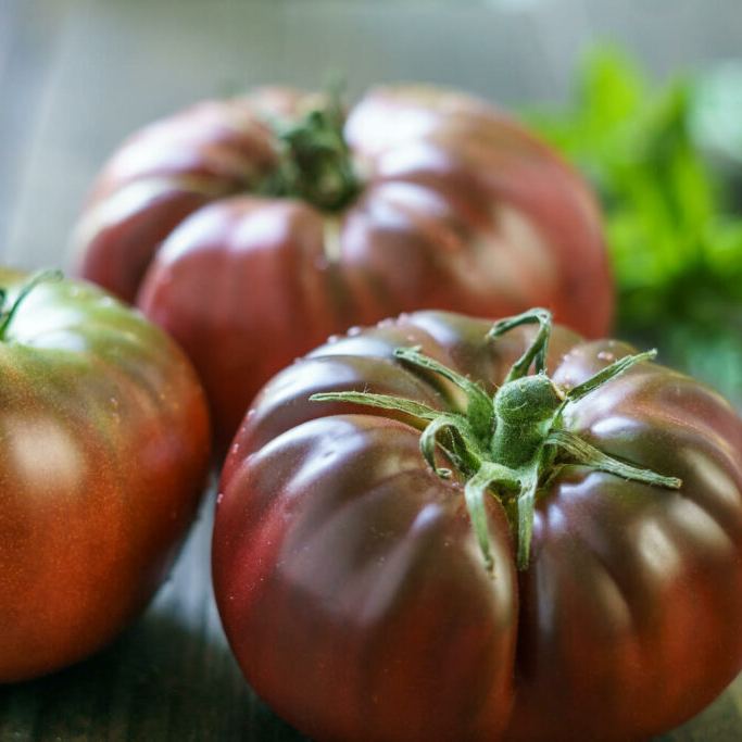 Lucid Gem Tomato Seeds, Beefsteak Tomatoes, Heirloom Tomatoes, Organic Seeds