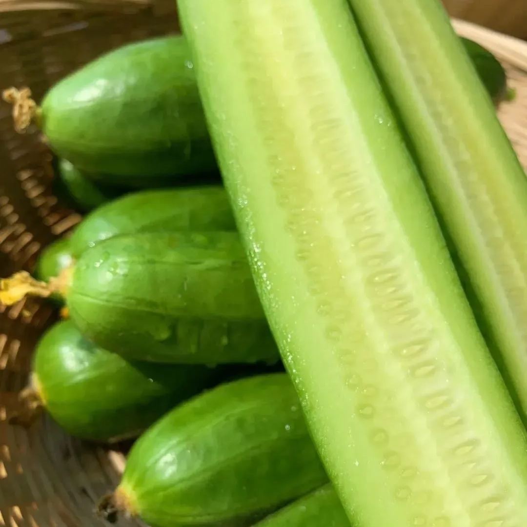 Thorn-less Mini Cucumber Seeds