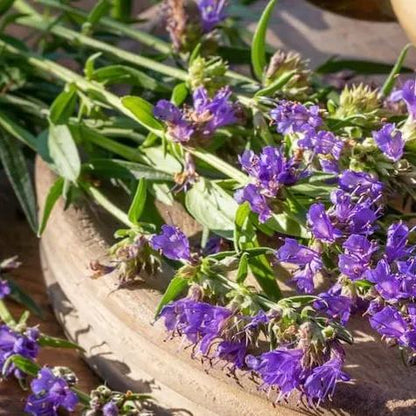 😍Last Day Sale - 60% OFF✨Anise Hyssop Herb Flower Heirloom Seeds