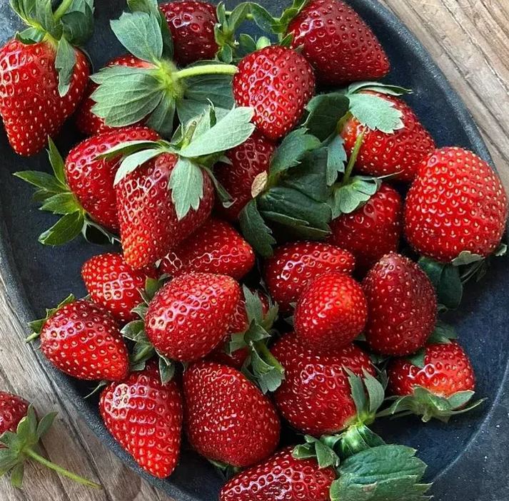 🍓Last Day Sale - 60% OFF🌱100+ Mix Strawberry Seeds for Planting - Heirloom Non-GMO